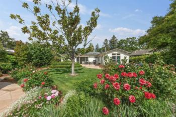 43 McAllister Avenue, Kentfield Photo