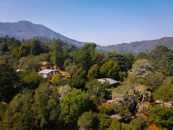 241 Summit Avenue, Mill Valley Photo
