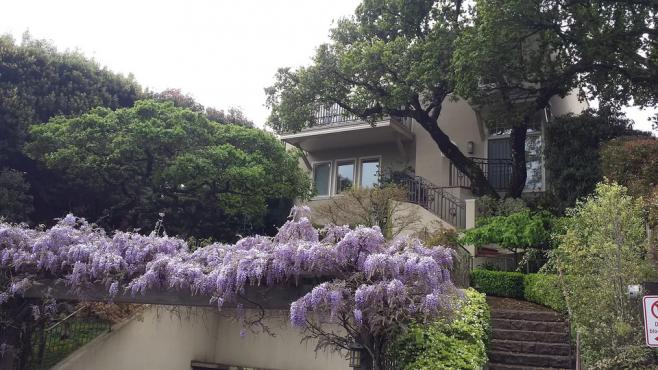 5 Sunshine Avenue, Sausalito Photo