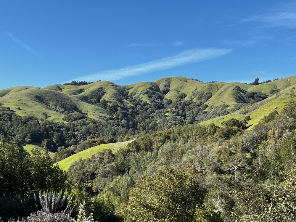 4000 Old Rancheria Road #32