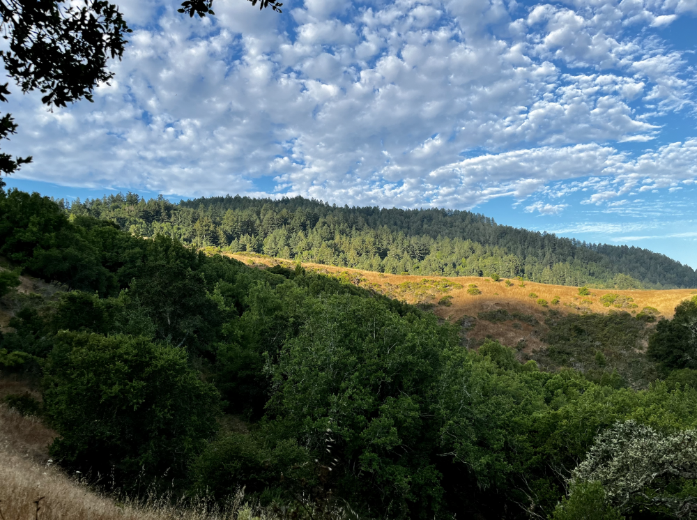 4000 Old Rancheria Road #33