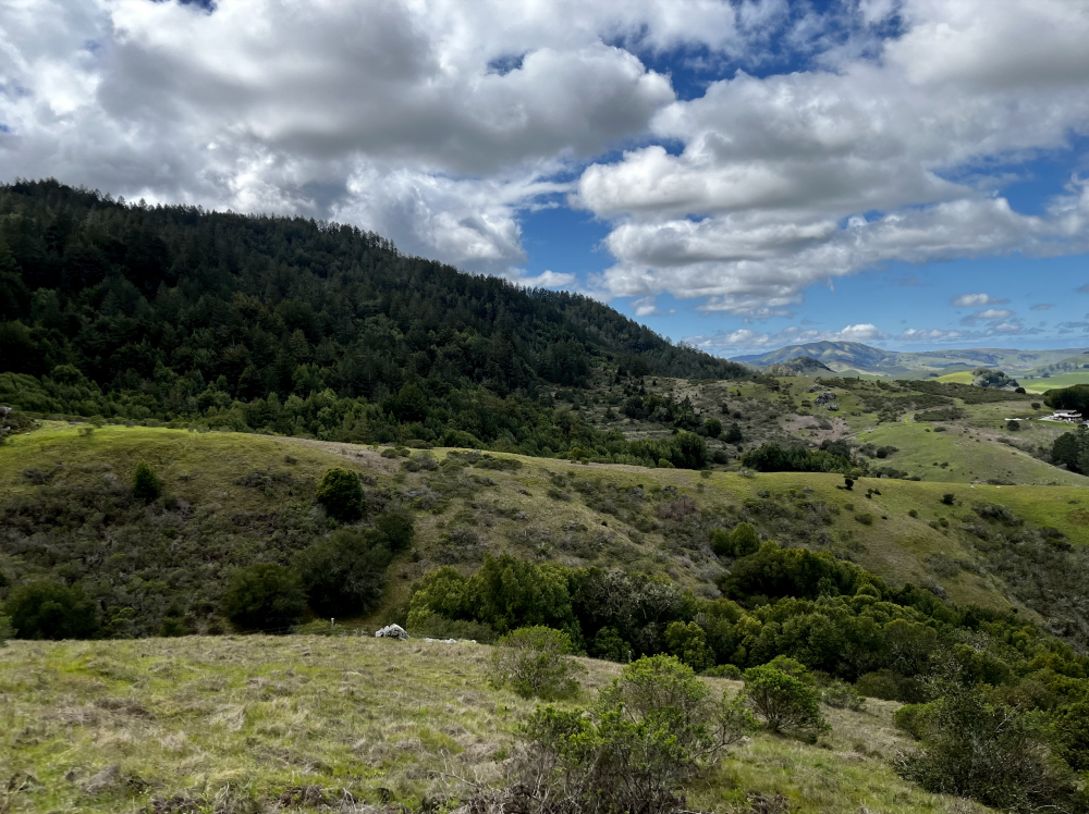 4000 Old Rancheria Road #34