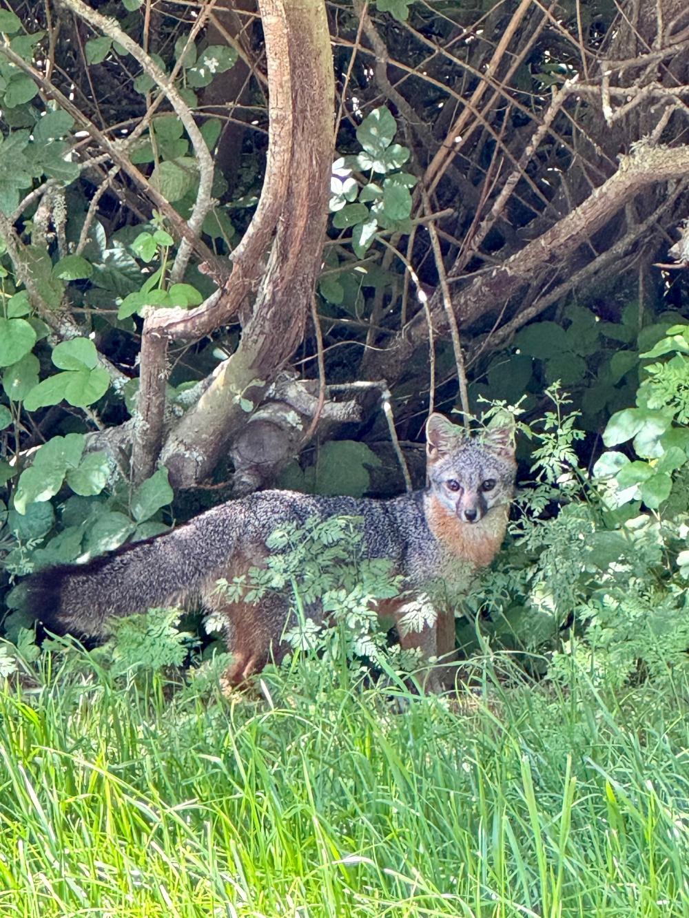 4000 Old Rancheria Road #36