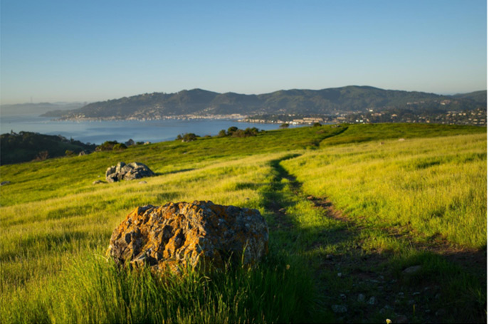 Marin County Real Estate Report