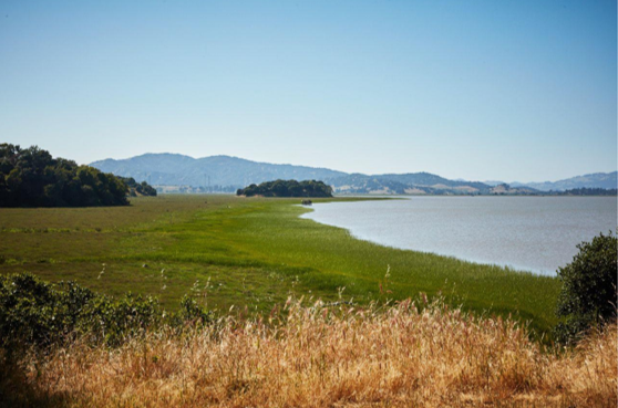 Bay Area Population Change Migration Carey Hagglund Condy Luxury Bay Area Population Change Migration Carey Hagglund Condy Luxury
