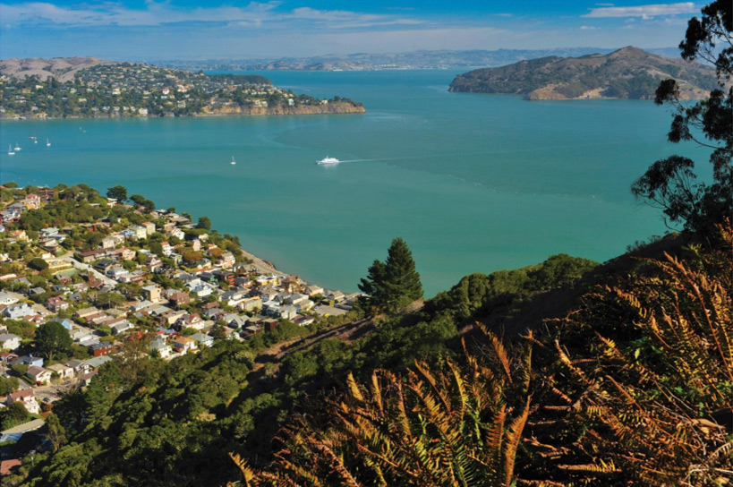 Marin County Real Estate Report - June 2021