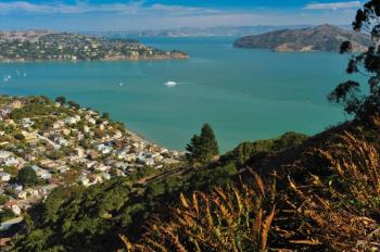 Marin County Real Estate Report - June 2021