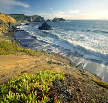 Glass House That Catches the ‘Fog Waves’ Rolling Into California’s Bay Area Lists for $10.5 Million