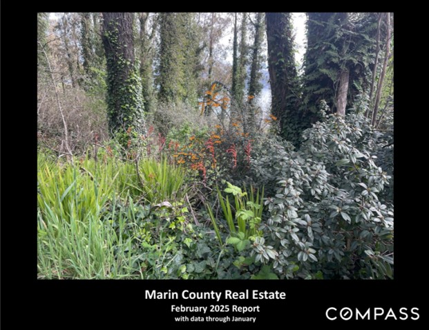 Marin County Real Estate Report - February 2025