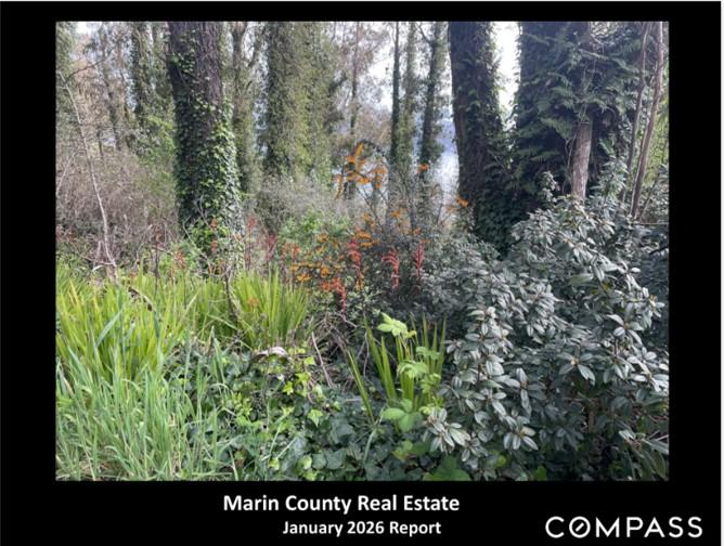 Marin County Real Estate Report 