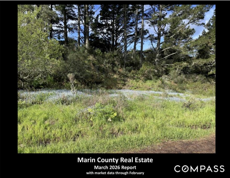 Marin County Real Estate Report 
