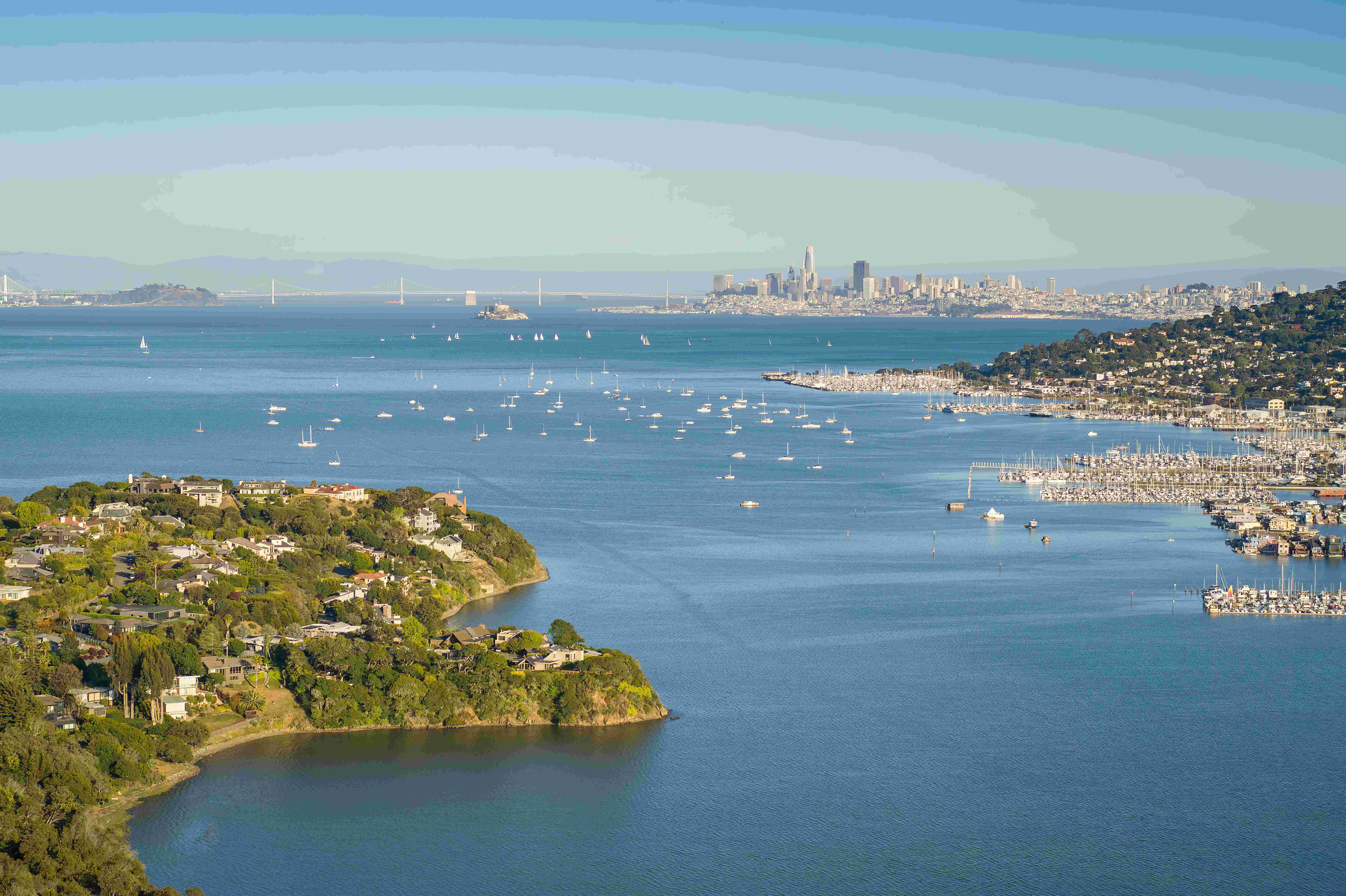 March 2025 Newsletter 