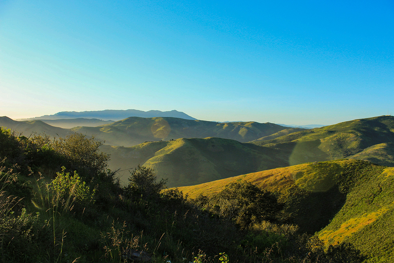 Greenbrae