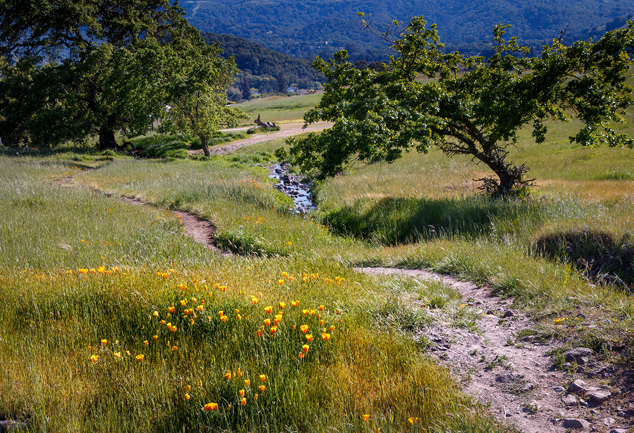  Kentfield, CA